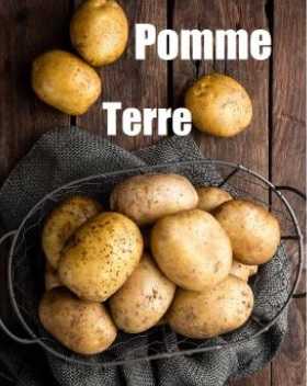 Pomme Terre