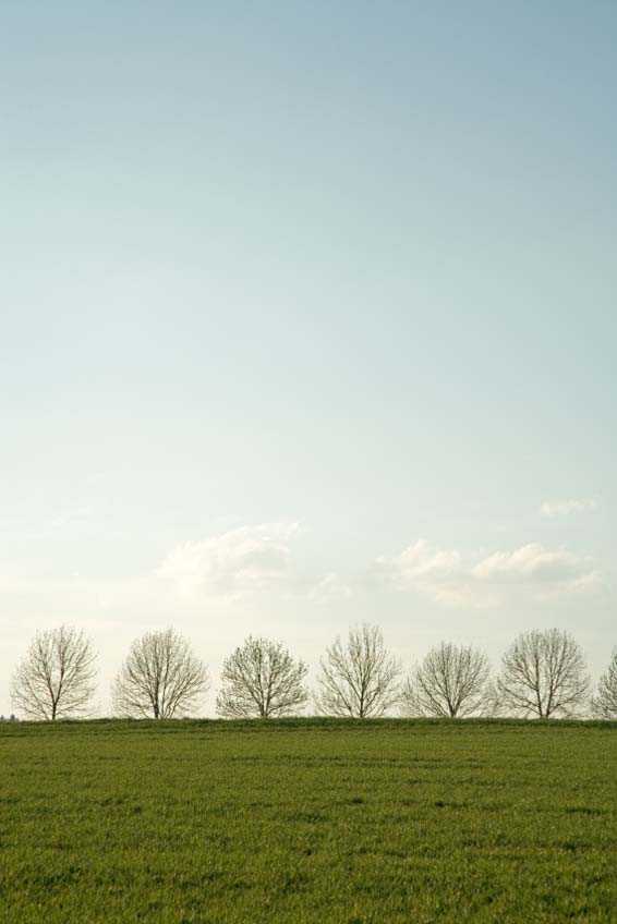 Tess of the Storm Country